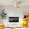 Magnolia Λευκός με DC μοτέρ και LED φωτιστικό της Westinghouse