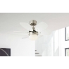 Flora Royal by Westinghouse
